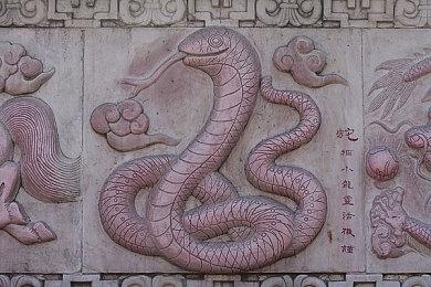 《艾尔登法环》霸占Twitch平台 观众数量已达近百万